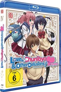 DVD Love, Chunibyo & Other Delusions! -Heart Throb- (2. Staffel) - Vol.4