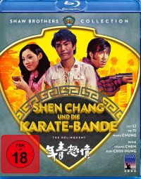 Shen Chang und die Karate-Bande Cover