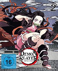 DVD Demon Slayer: Kimetsu no Yaiba - Staffel 1 - Vol.2