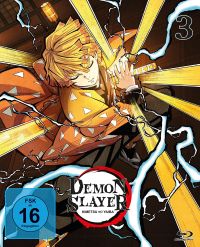 DVD Demon Slayer: Kimetsu no Yaiba - Staffel 1 - Vol. 3