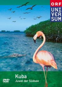 DVD Kuba - Juwel der Karibik