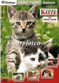 DVD Liebe Tiere! - Katzen 