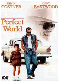 DVD Perfect World
