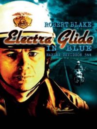 DVD Electra Glide in Blue - Harley Davidson 344