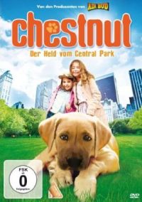 DVD Chestnut - Der Held vom Central Park