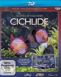 Cichlide - Tropische Aquarien Cover
